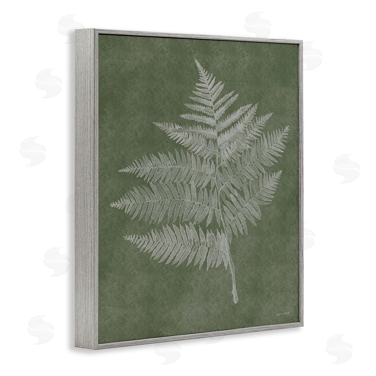 Annie LaPoint Asymmetrical Fern Plant Gray Framed Giclee Wall Art Print