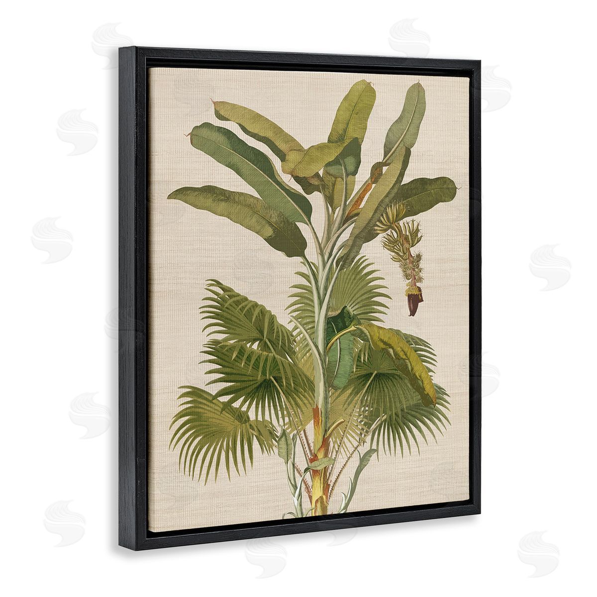 Amber Sterling Vintage Tropical Plant Black Floating Frame Canvas Wall Art Print