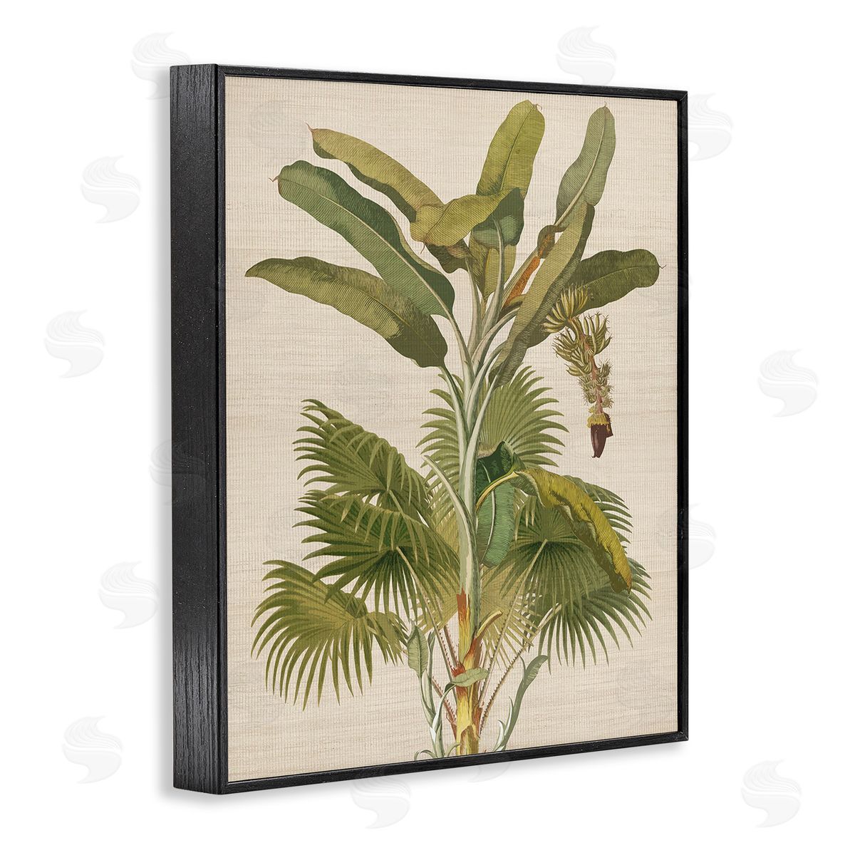 Amber Sterling Vintage Tropical Plant Black Framed Giclee Wall Art Print