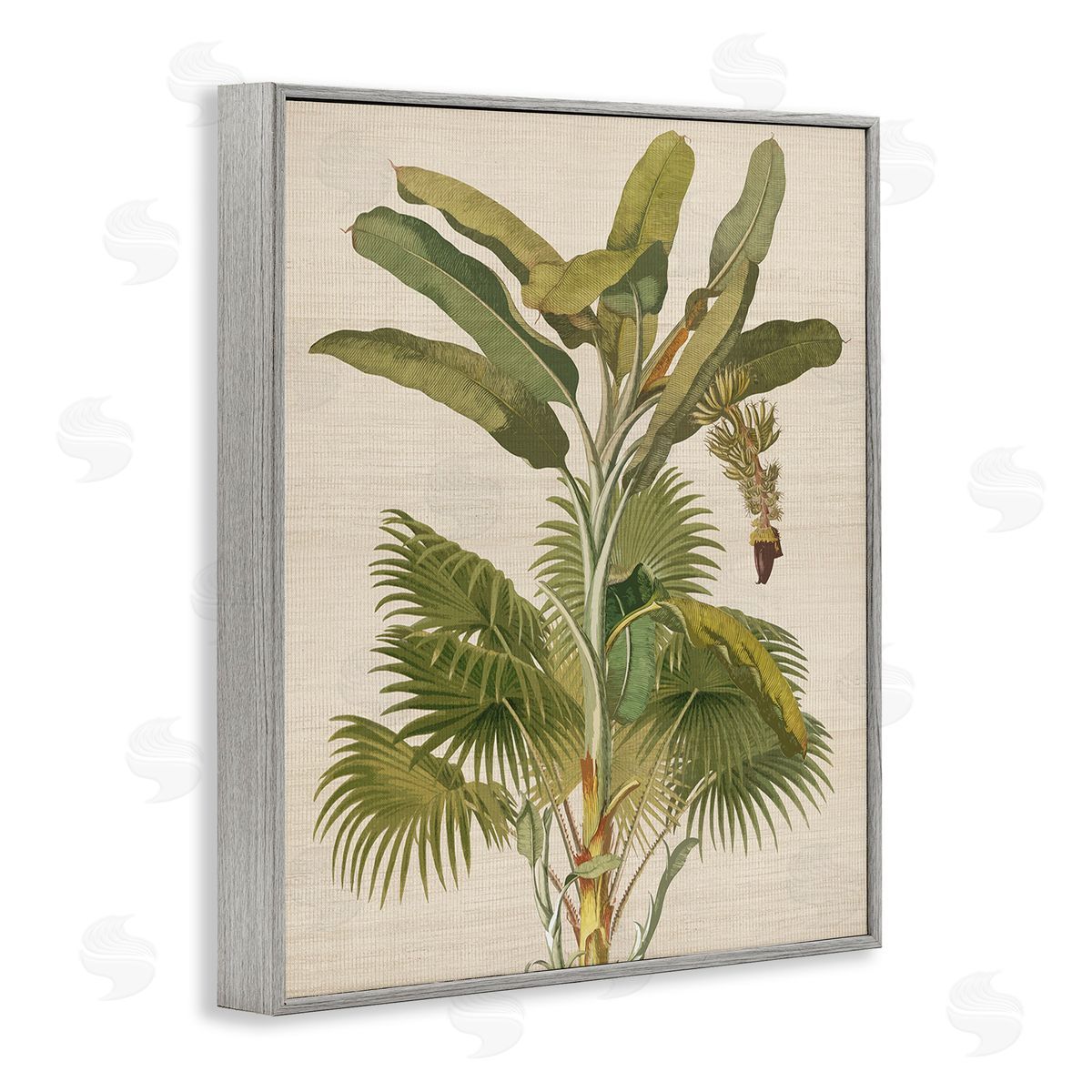 Amber Sterling Vintage Tropical Plant Gray Framed Giclee Wall Art Print