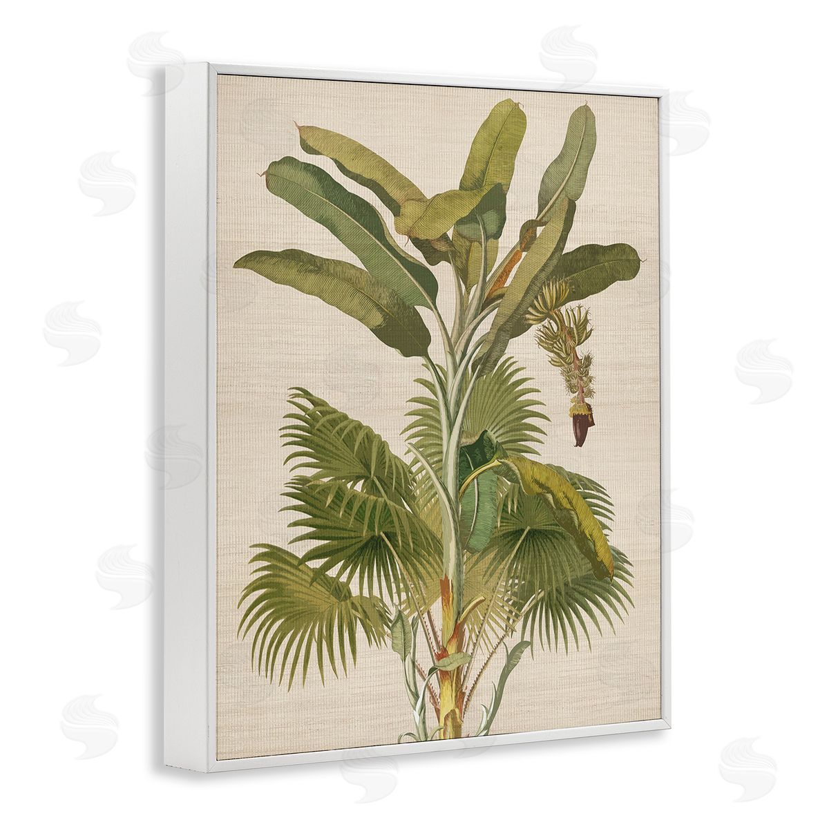 Amber Sterling Vintage Tropical Plant White Framed Giclee Wall Art Print