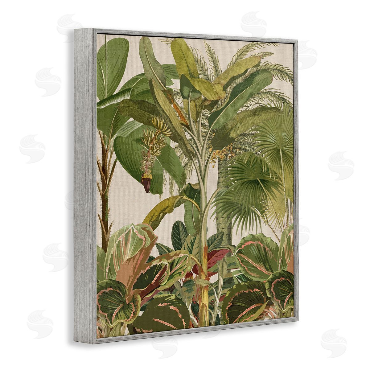 Amber Sterling Tropical Jungle Vegetation Gray Framed Giclee Wall Art Print