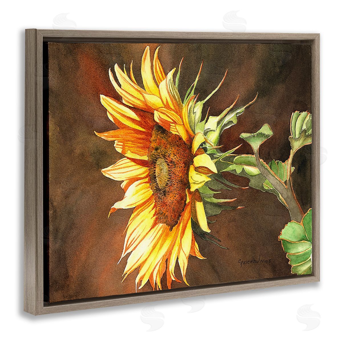 Christine Reichow Sunflower with Vivid Light Brown Floating Frame Canvas Wall Art Print