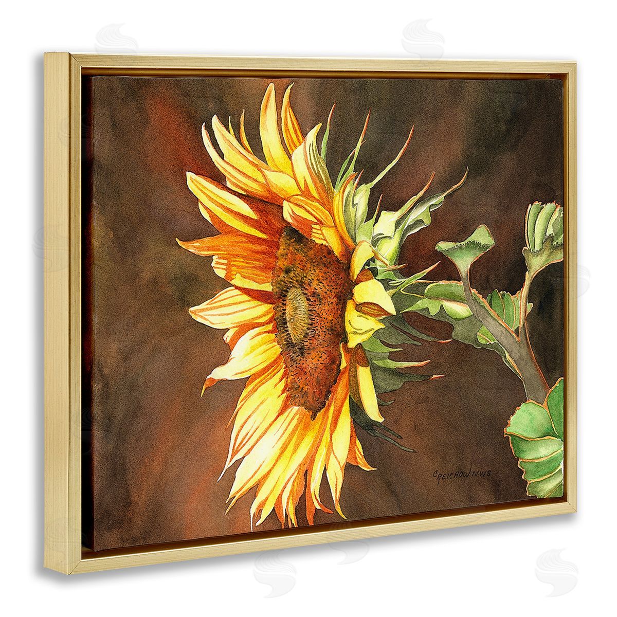 Christine Reichow Sunflower with Vivid Light Gold Floating Frame Canvas Wall Art Print