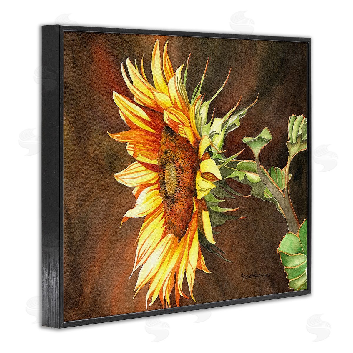 Christine Reichow Sunflower with Vivid Light Black Framed Giclee Wall Art Print