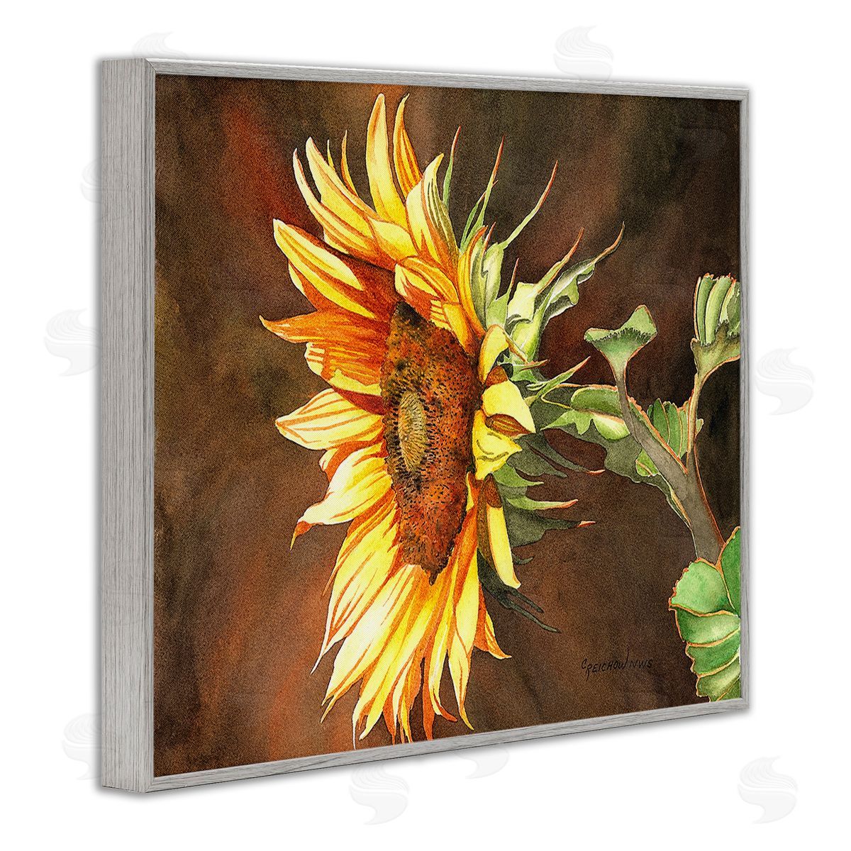 Christine Reichow Sunflower with Vivid Light Gray Framed Giclee Wall Art Print