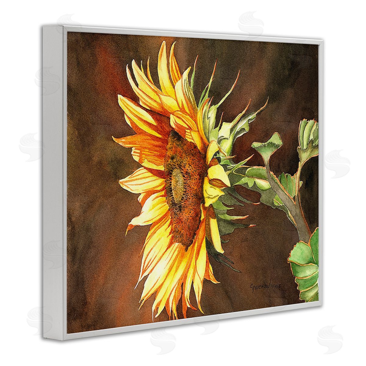 Christine Reichow Sunflower with Vivid Light White Framed Giclee Wall Art Print