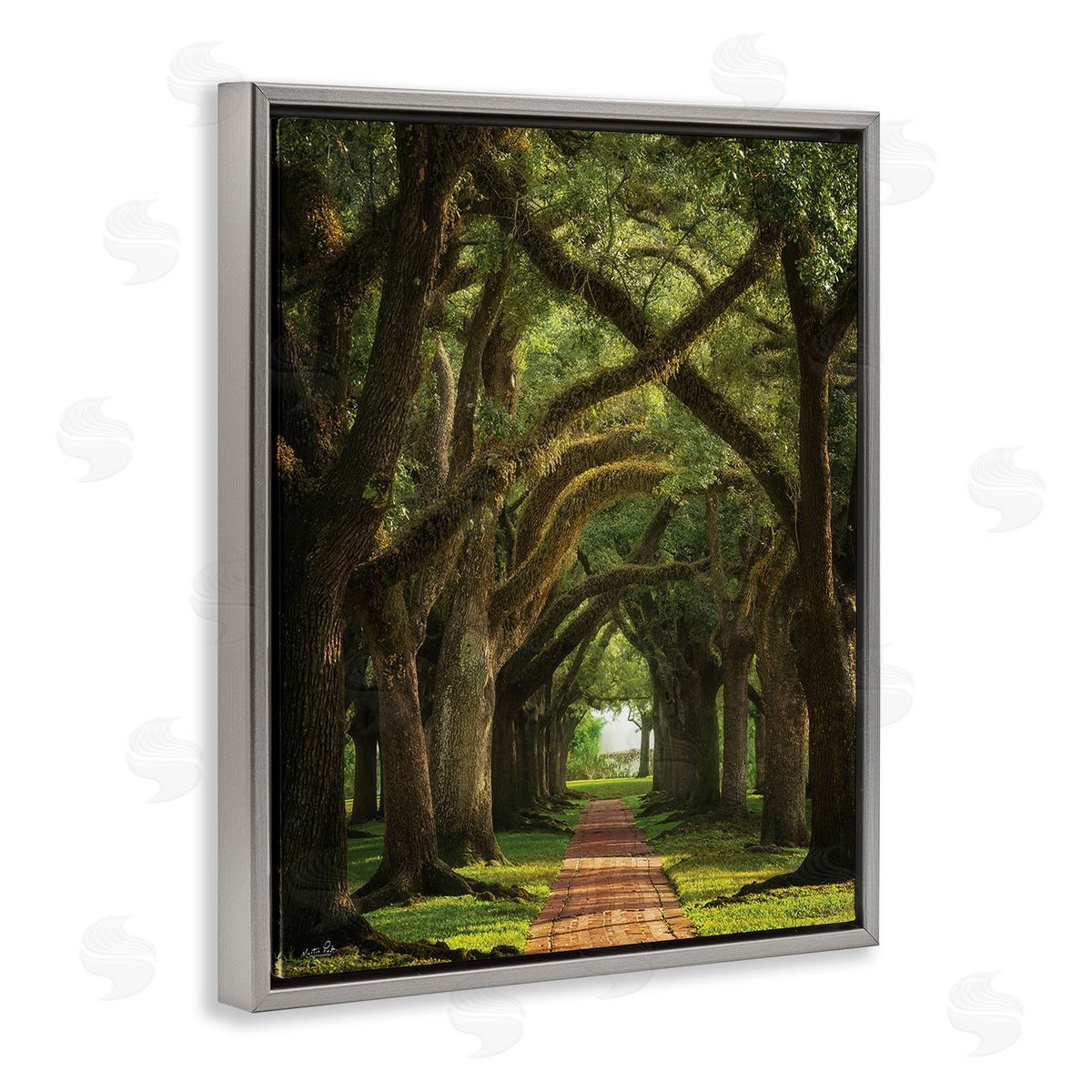 Martin Podt Shadowed Tree Grove Gray Floating Frame Canvas Wall Art Print