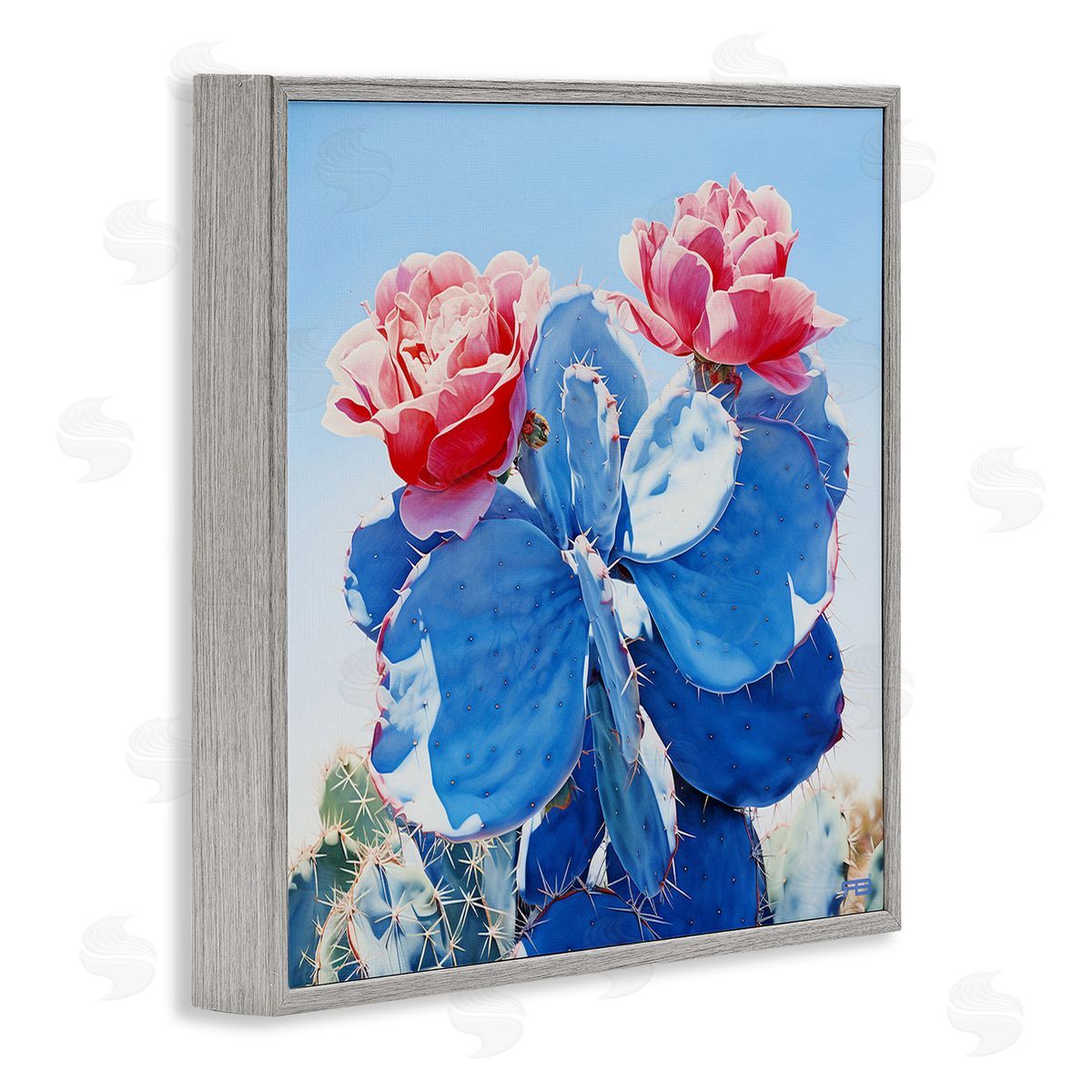 RB Twin Cactus Blossoms Gray Framed Giclee Wall Art Print