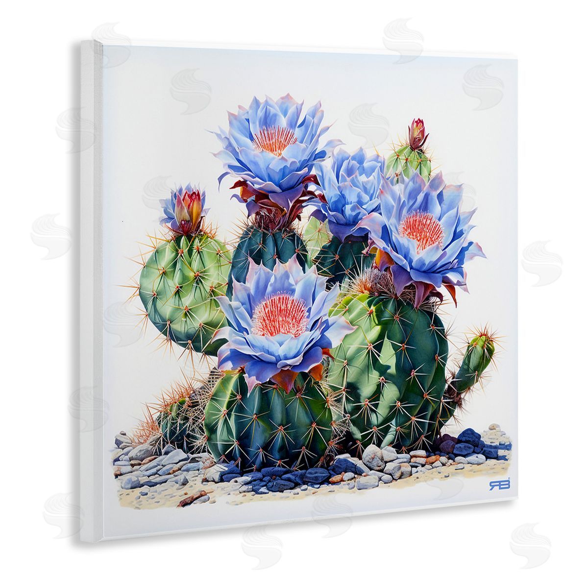 RB Blue Cactus Blossoms Wooden Wall Plaque Art Print