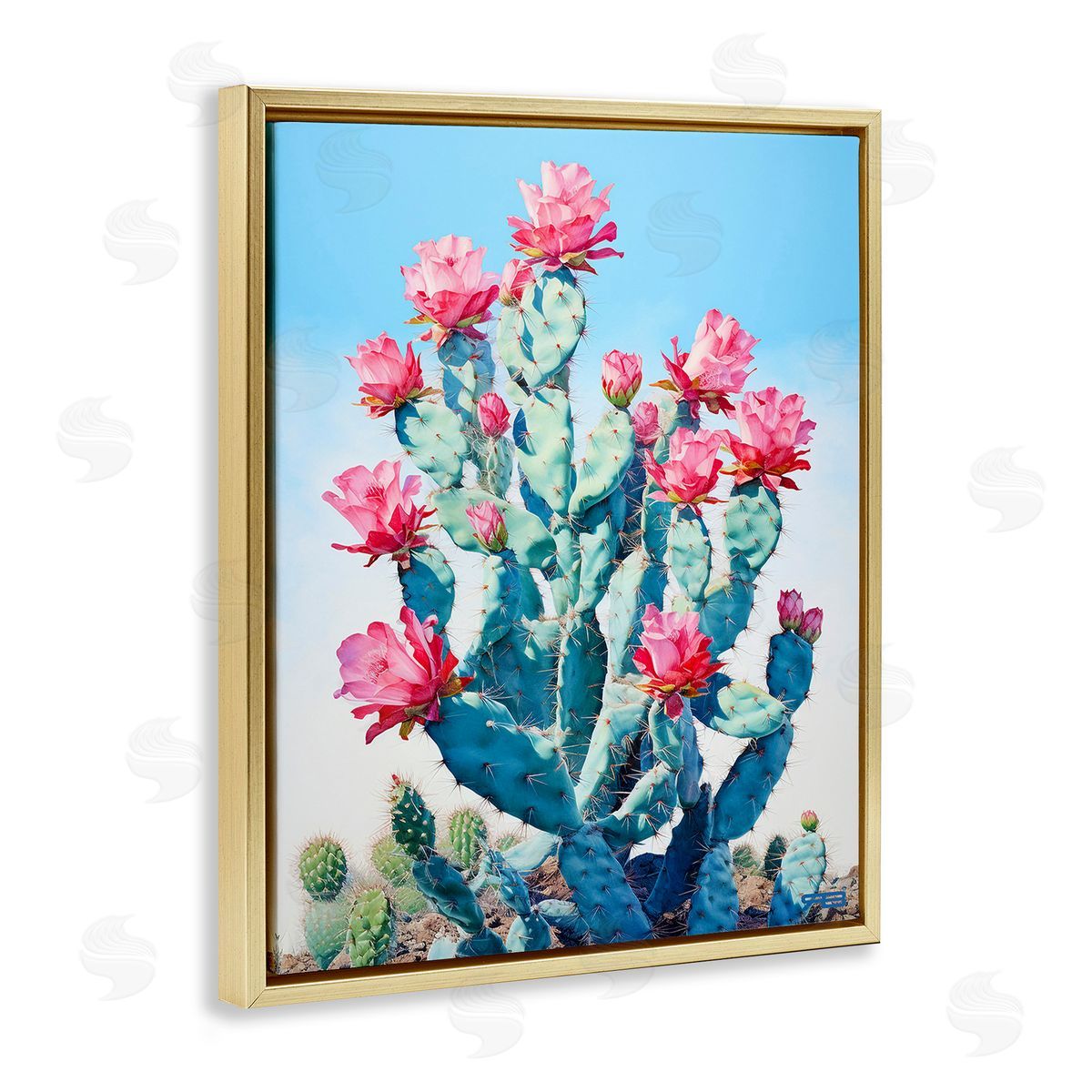 RB Southwestern Cactus Flowers Gold Floating Frame Canvas Wall Art Print
