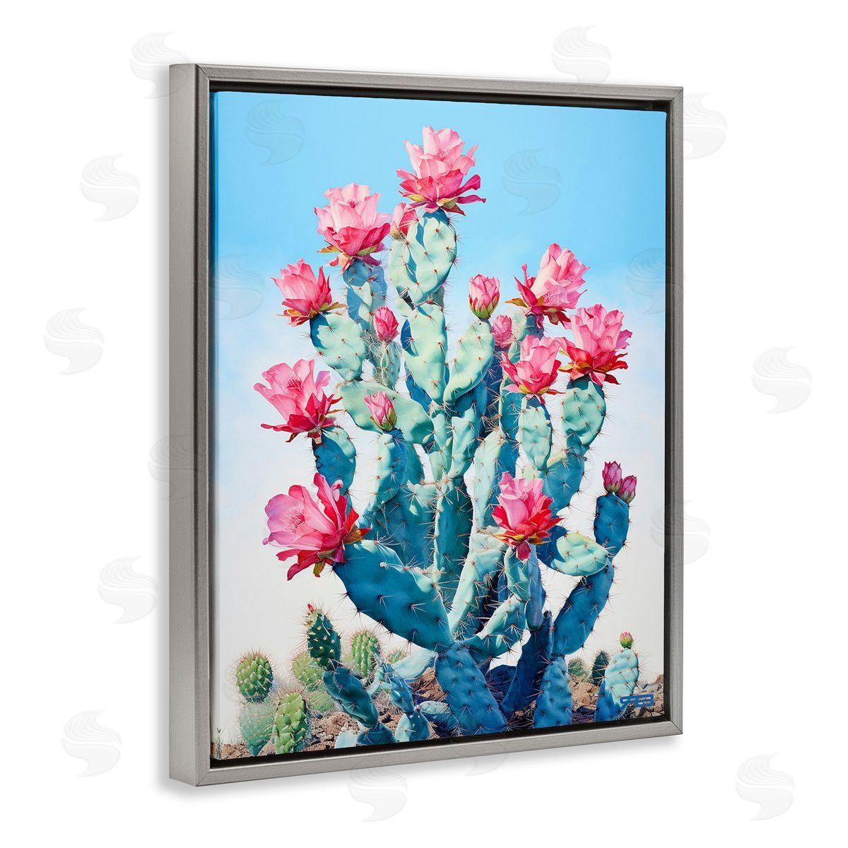 RB Southwestern Cactus Flowers Gray Floating Frame Canvas Wall Art Print