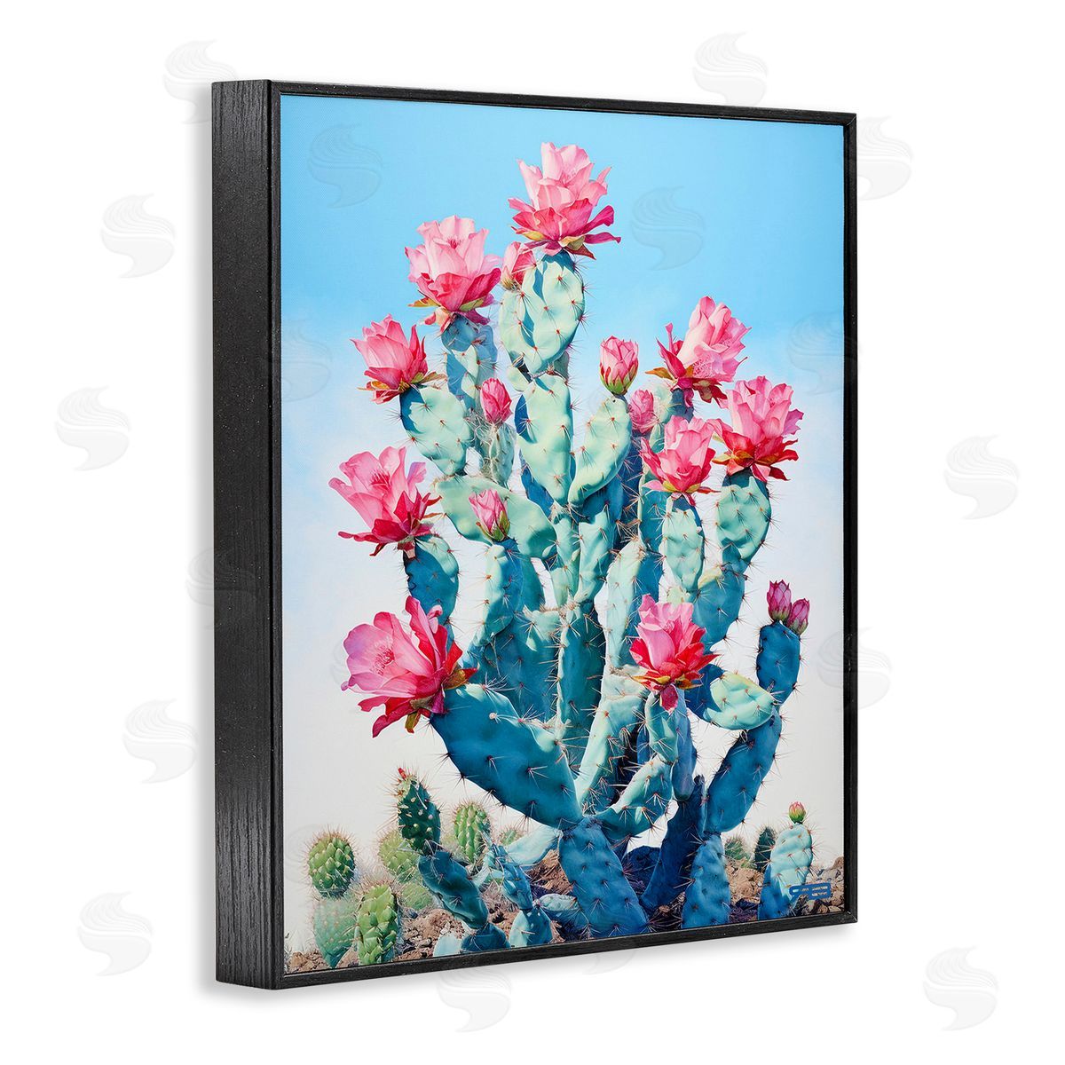 RB Southwestern Cactus Flowers Black Framed Giclee Wall Art Print