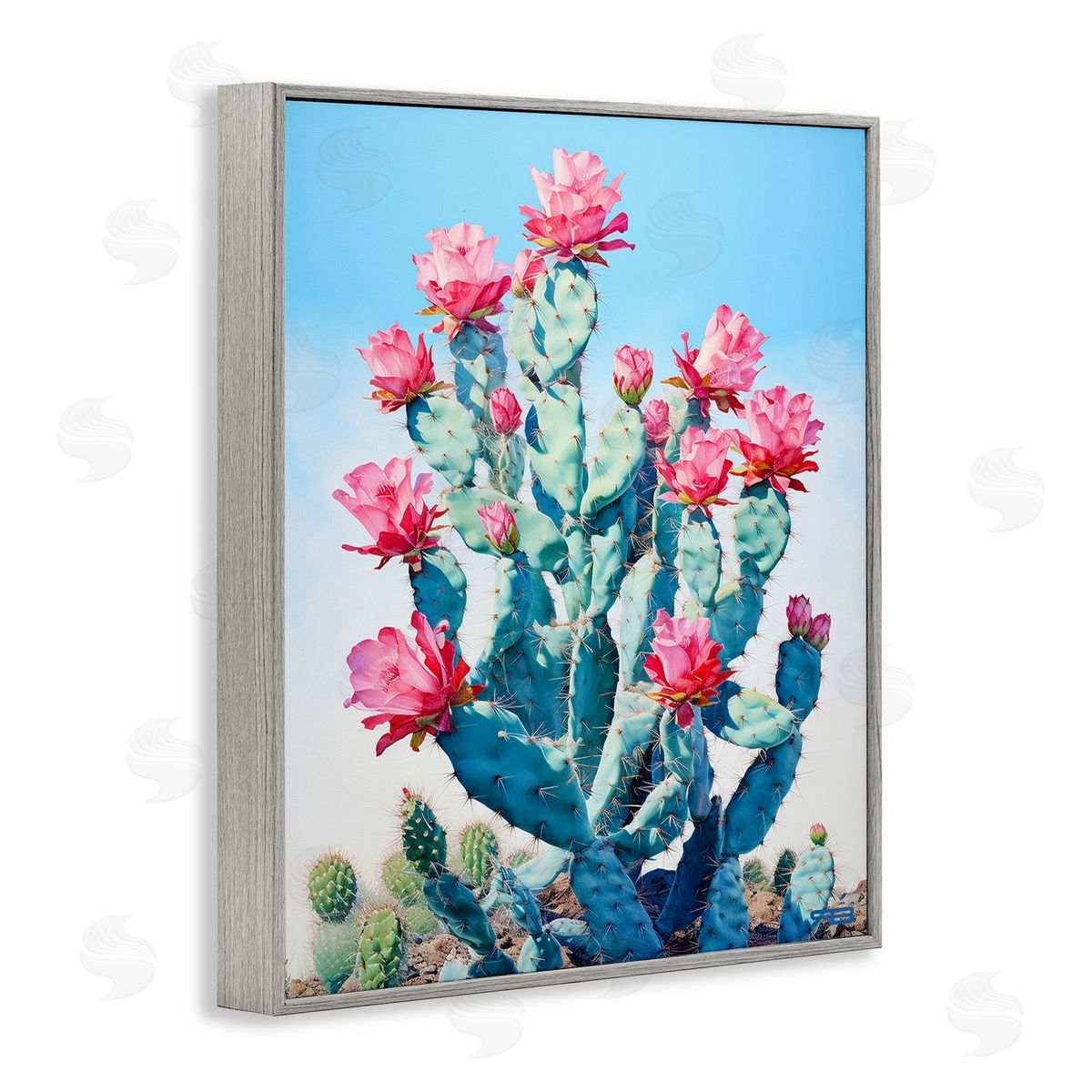 RB Southwestern Cactus Flowers Gray Framed Giclee Wall Art Print