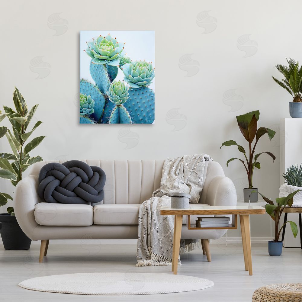 RB Cactus with Succulent Blooms Canvas Wall Art Print in Room