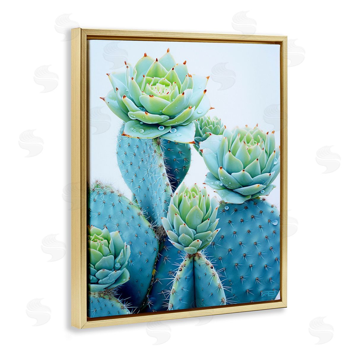 RB Cactus with Succulent Blooms Gold Floating Frame Canvas Wall Art Print
