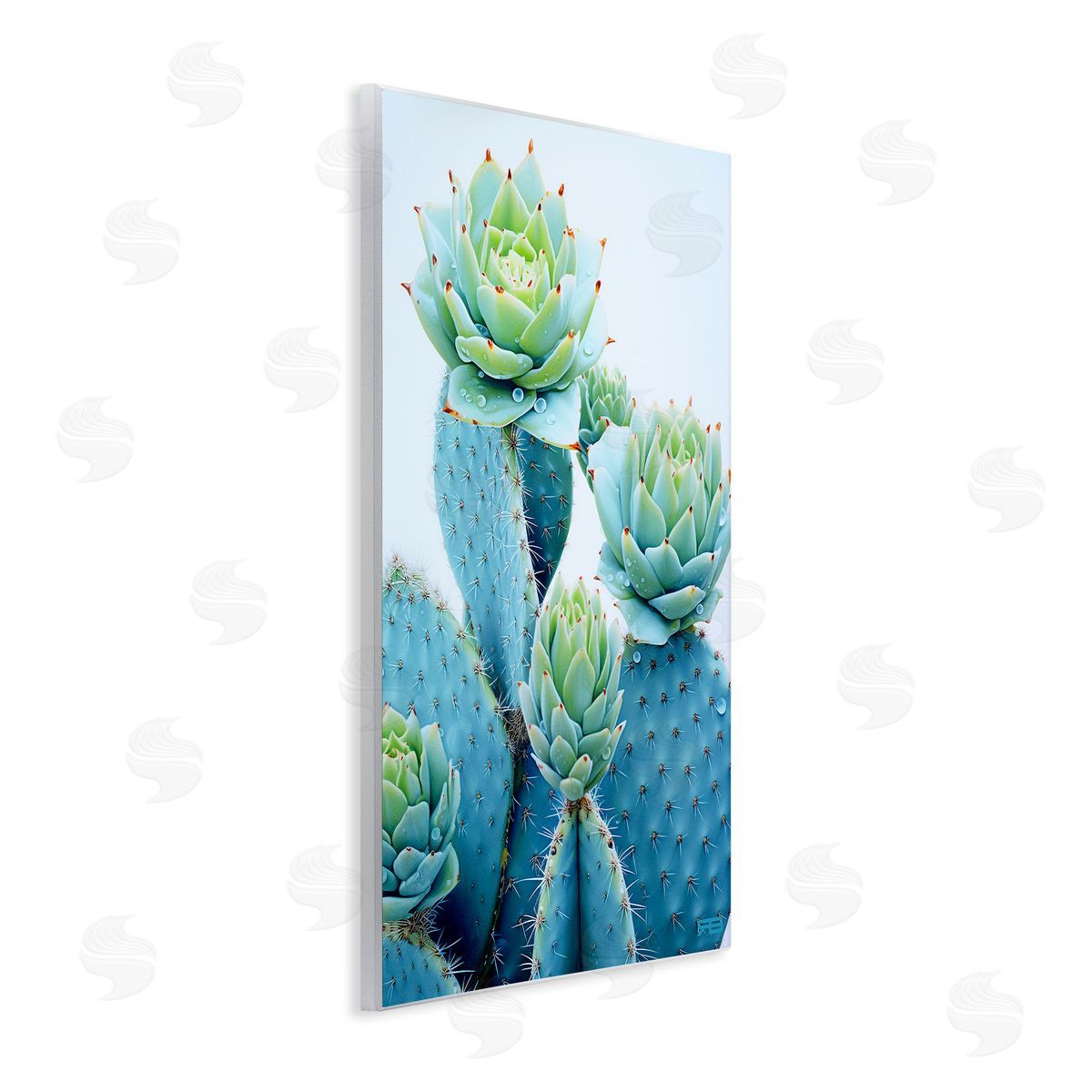RB Cactus with Succulent Blooms Wooden Wall Plaque Art Print