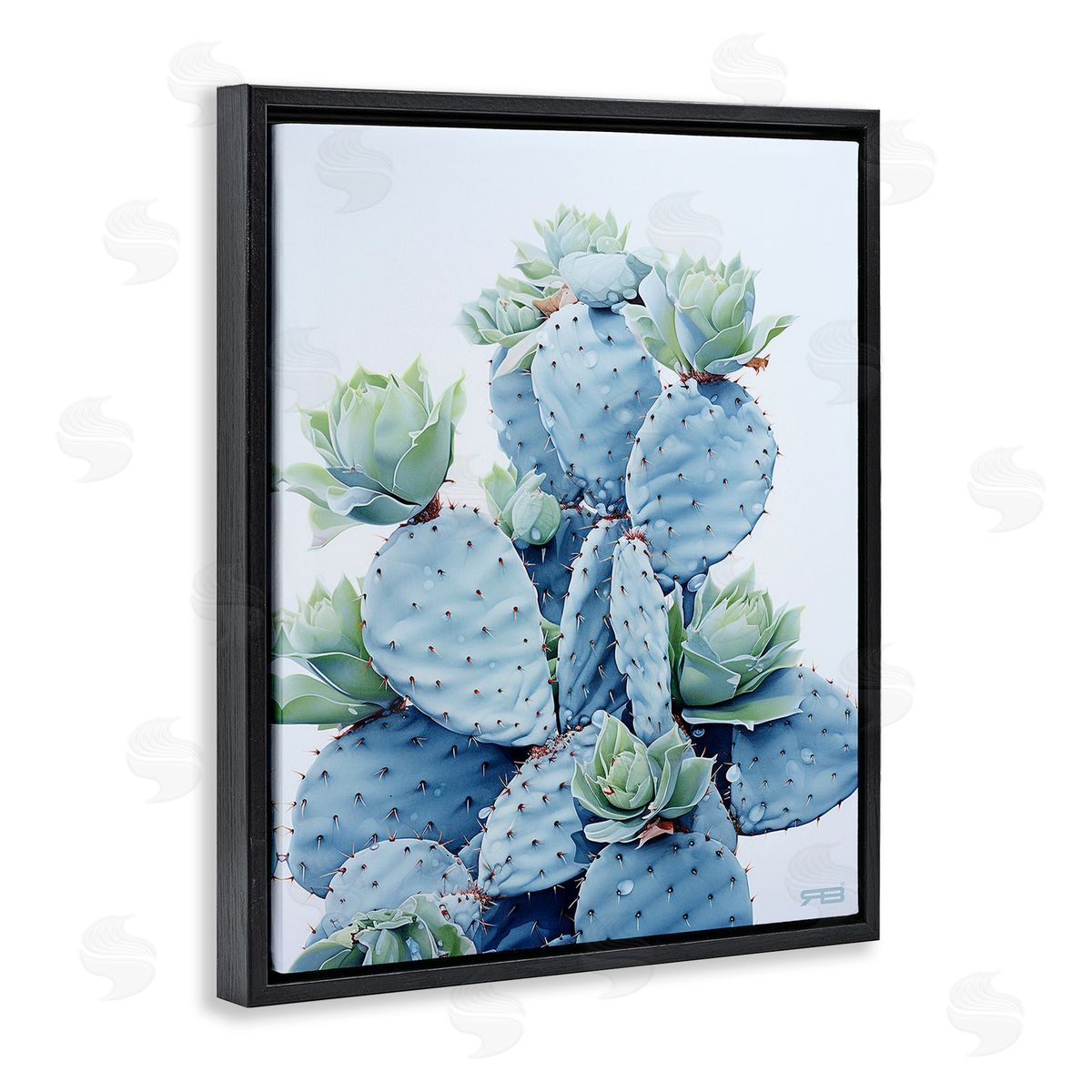 RB Blooming Succulents & Cactus Black Floating Frame Canvas Wall Art Print