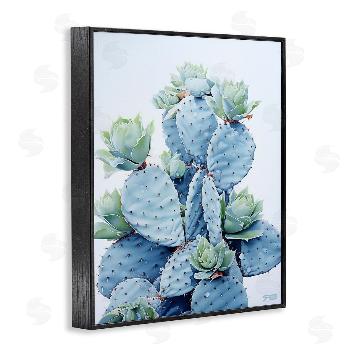 RB Blooming Succulents & Cactus Black Framed Giclee Wall Art Print