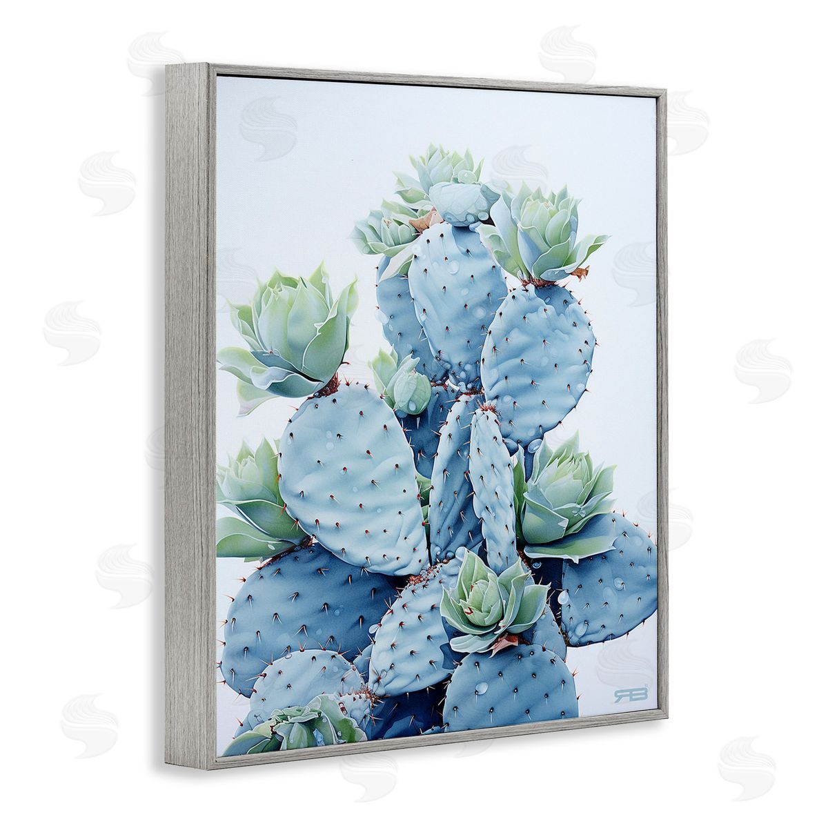 RB Blooming Succulents & Cactus Gray Framed Giclee Wall Art Print