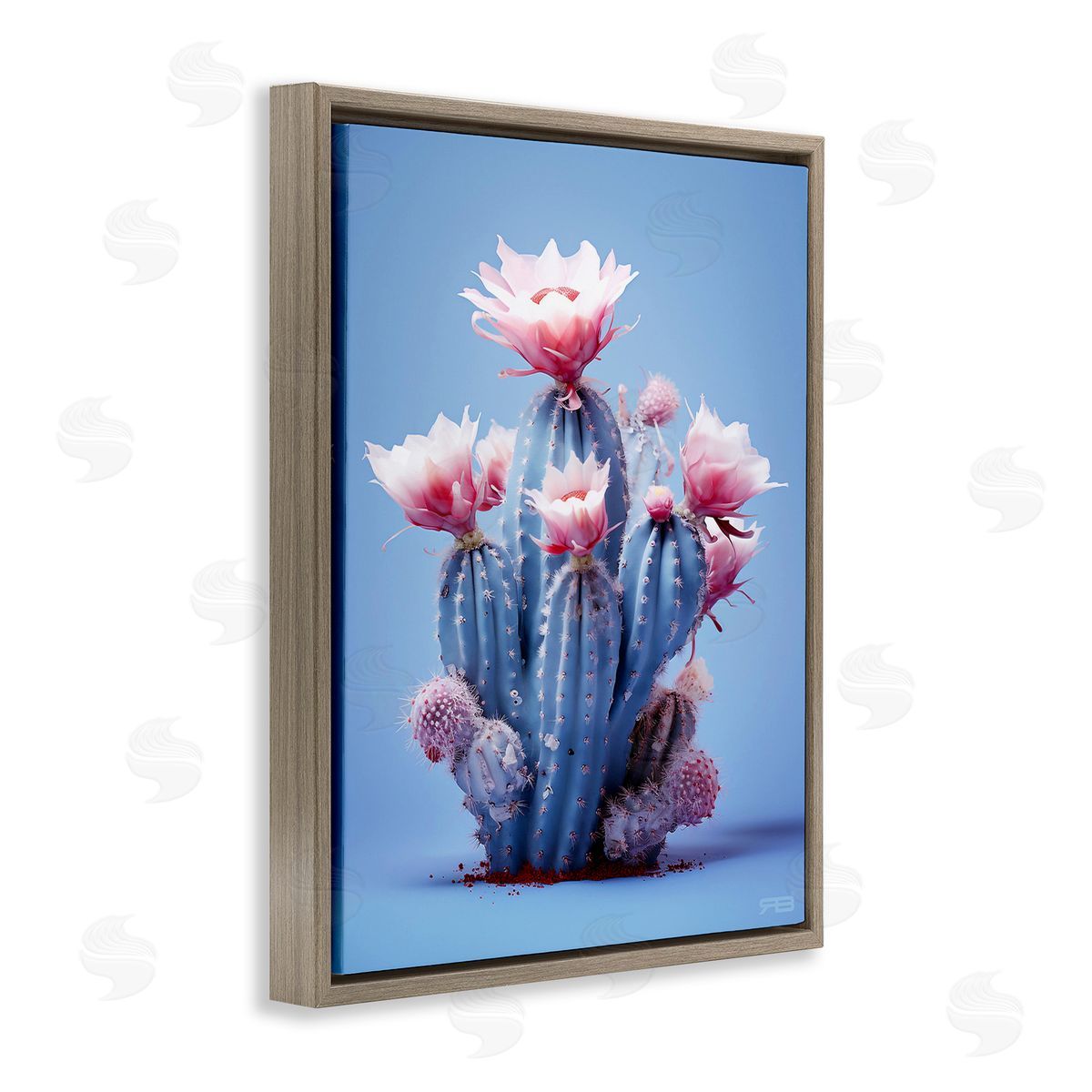 RB Pink & Blue Cactus Flowers Brown Floating Frame Canvas Wall Art Print