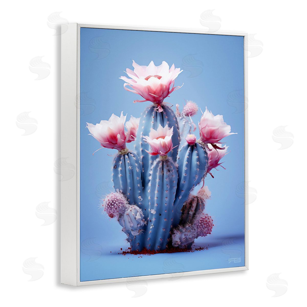 RB Pink & Blue Cactus Flowers White Framed Giclee Wall Art Print
