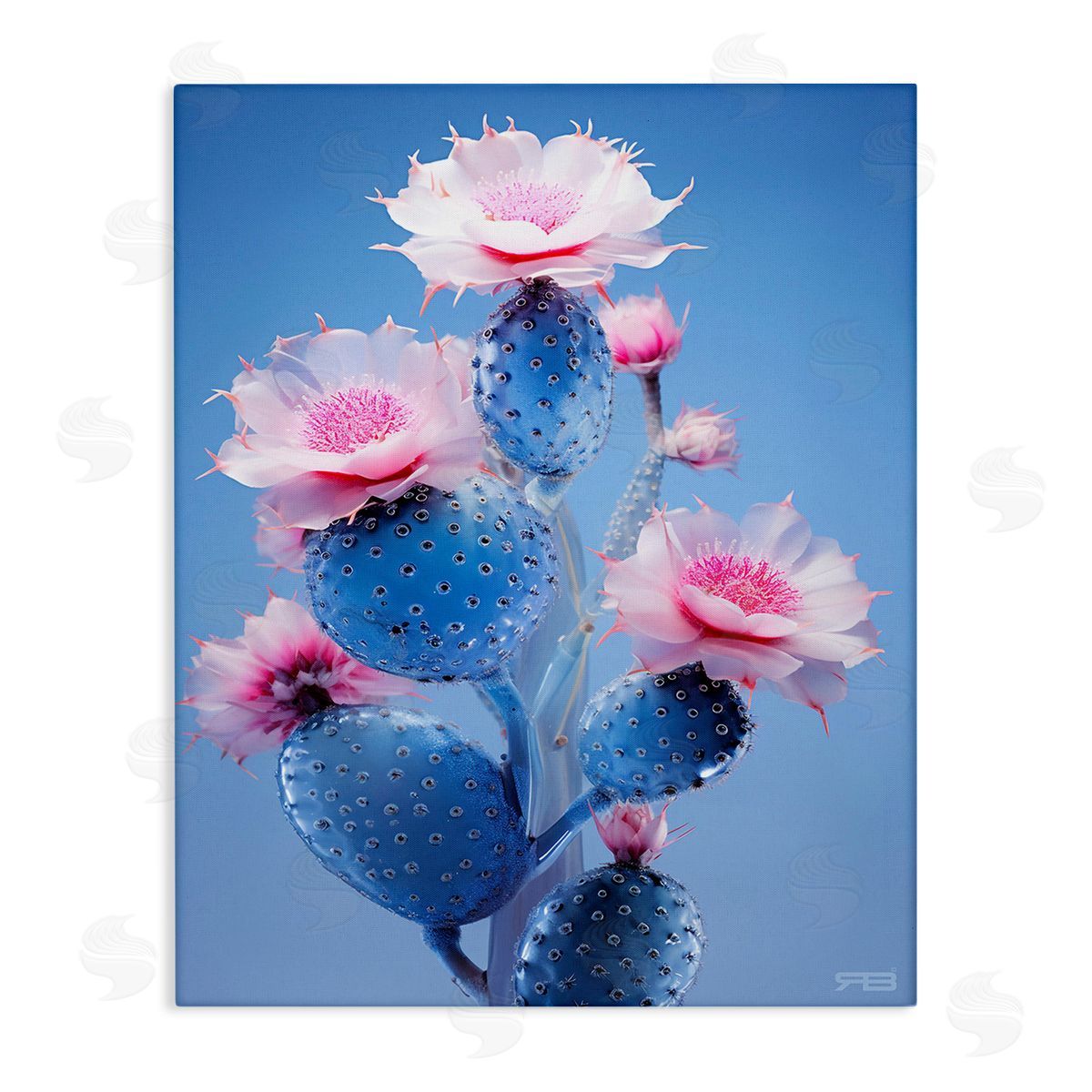 RB Prickly Cactus Flowers Canvas Wall Art Print