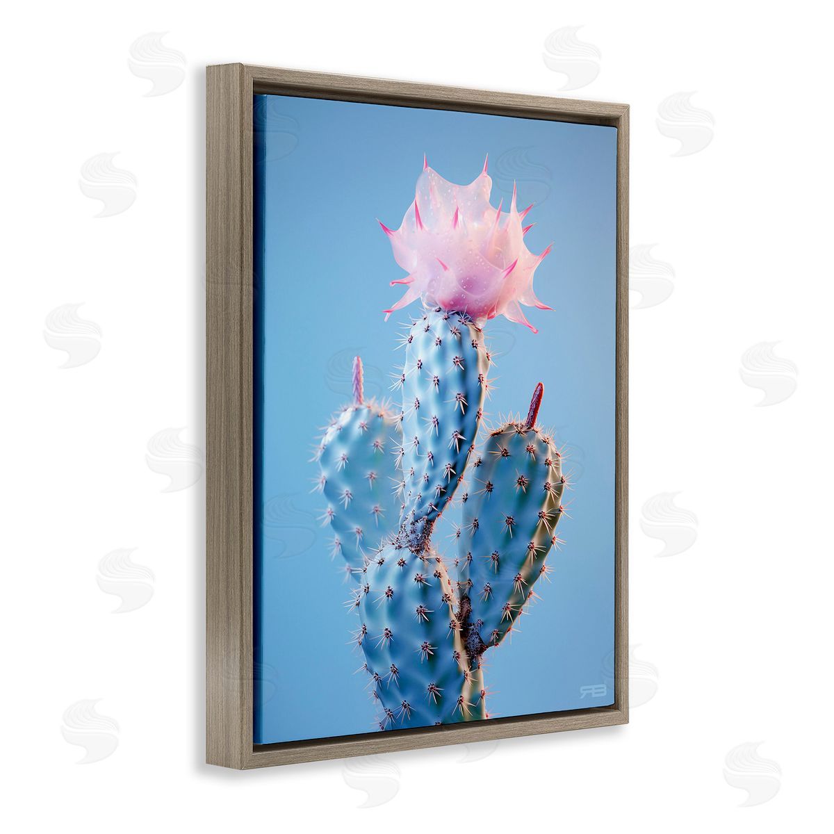 RB Pink Budding Cactus Flowers Brown Floating Frame Canvas Wall Art Print