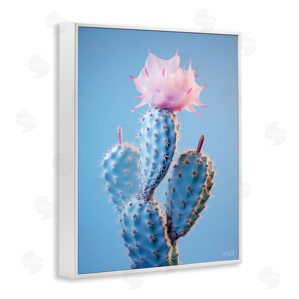 RB Pink Budding Cactus Flowers White Framed Giclee Wall Art Print