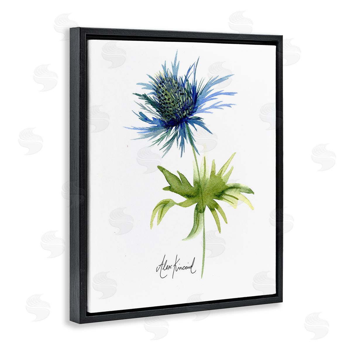 Alexandria Gilbert Kincaid Minimal Thistle Flower Black Floating Frame Canvas Wall Art Print