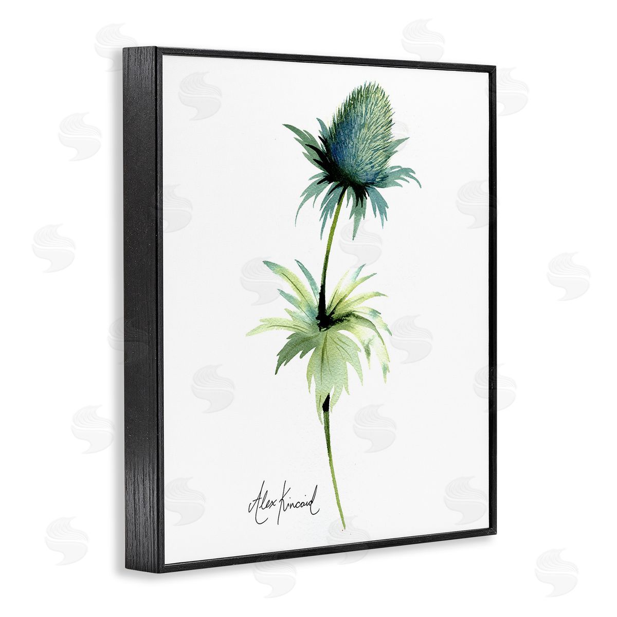 Alexandria Gilbert Kincaid Simple Thistle Plant Black Framed Giclee Wall Art Print