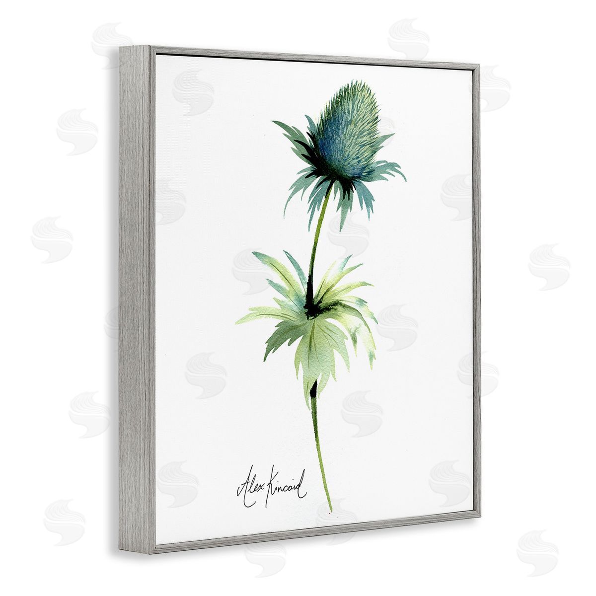 Alexandria Gilbert Kincaid Simple Thistle Plant Gray Framed Giclee Wall Art Print
