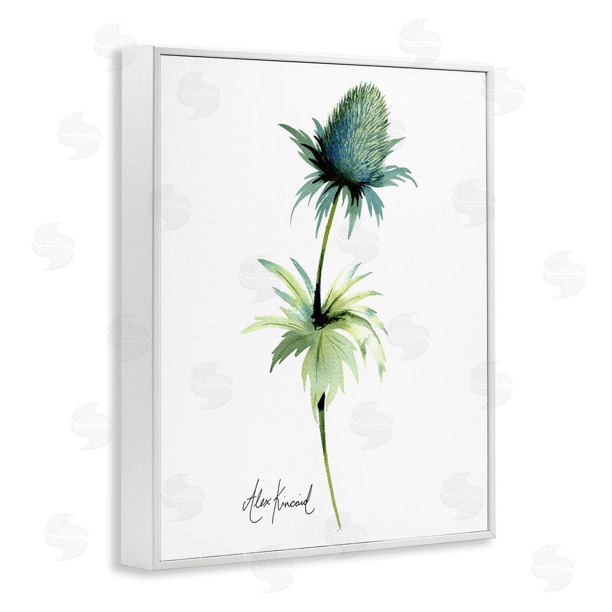 Alexandria Gilbert Kincaid Simple Thistle Plant White Framed Giclee Wall Art Print