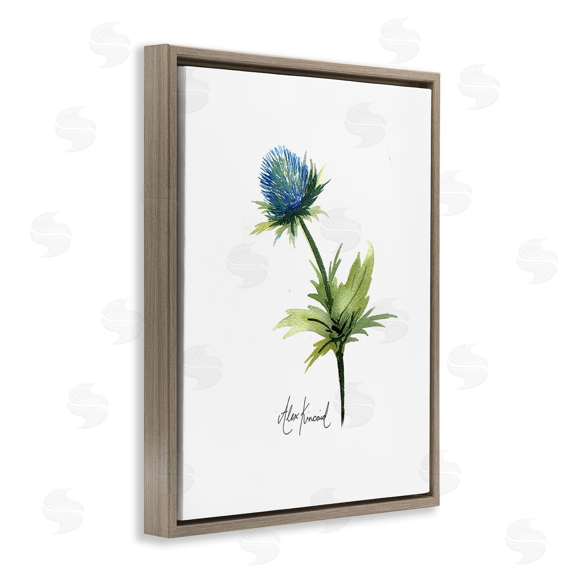 Alexandria Gilbert Kincaid Simple Thistle Watercolor Brown Floating Frame Canvas Wall Art Print