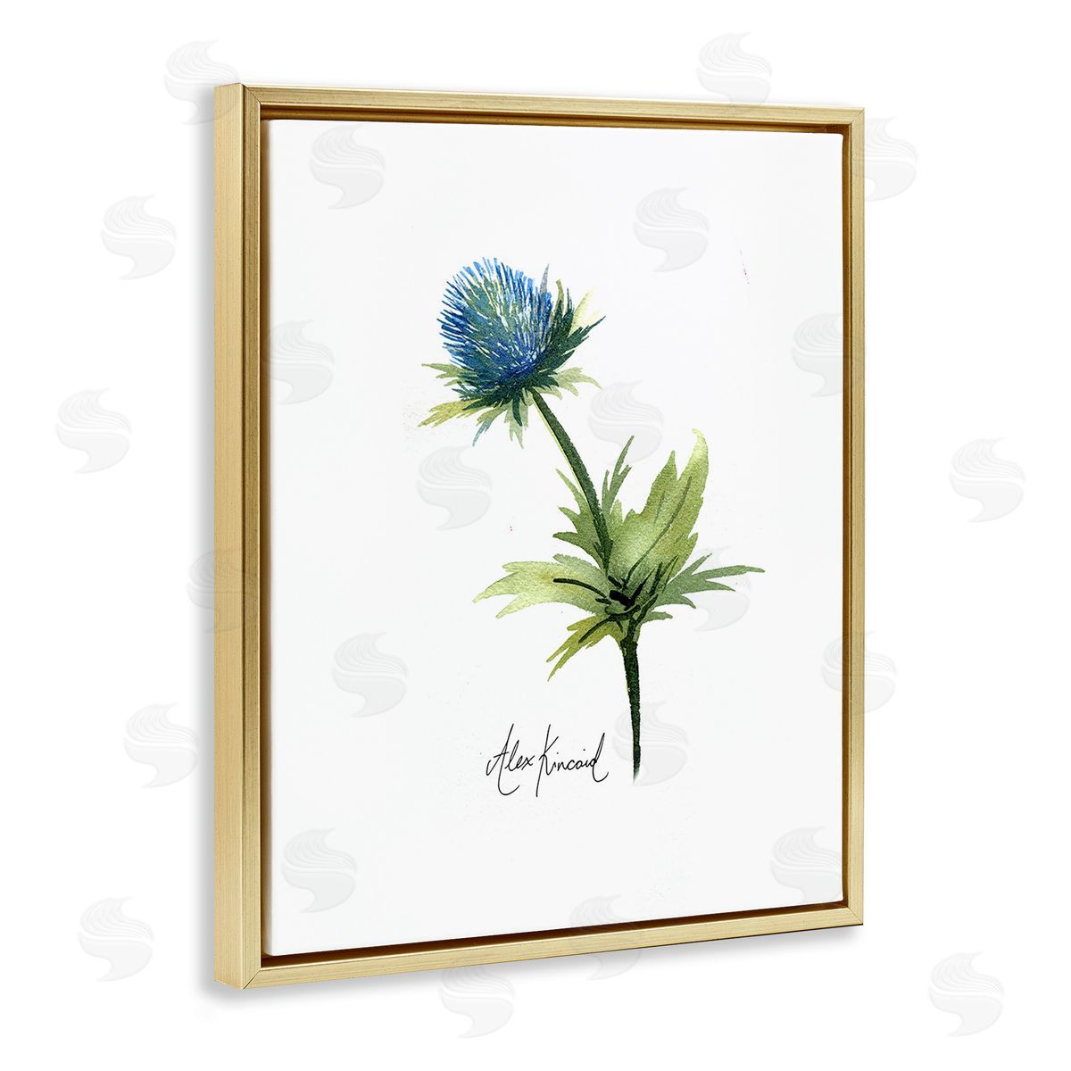 Alexandria Gilbert Kincaid Simple Thistle Watercolor Gold Floating Frame Canvas Wall Art Print