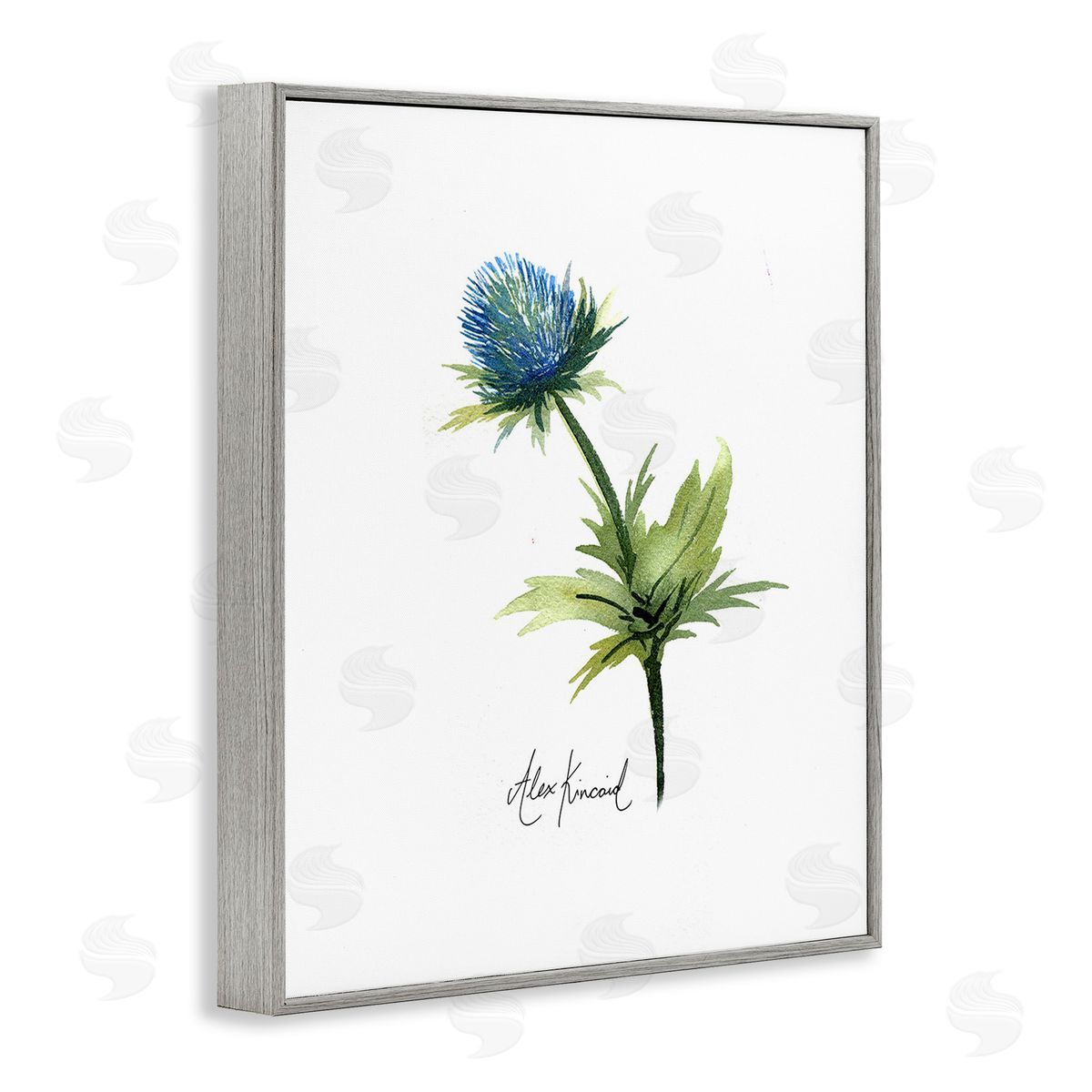 Alexandria Gilbert Kincaid Simple Thistle Watercolor Gray Framed Giclee Wall Art Print