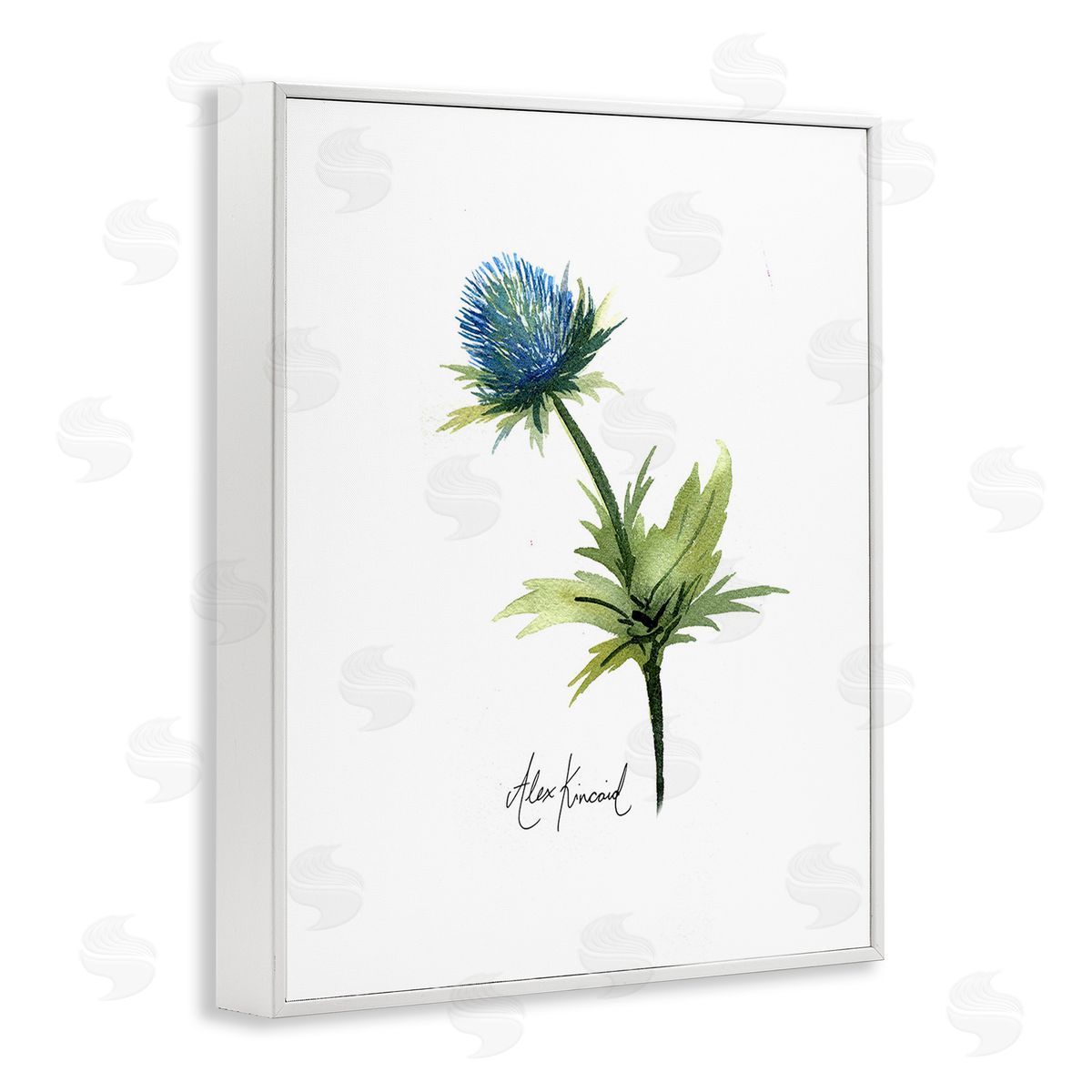 Alexandria Gilbert Kincaid Simple Thistle Watercolor White Framed Giclee Wall Art Print