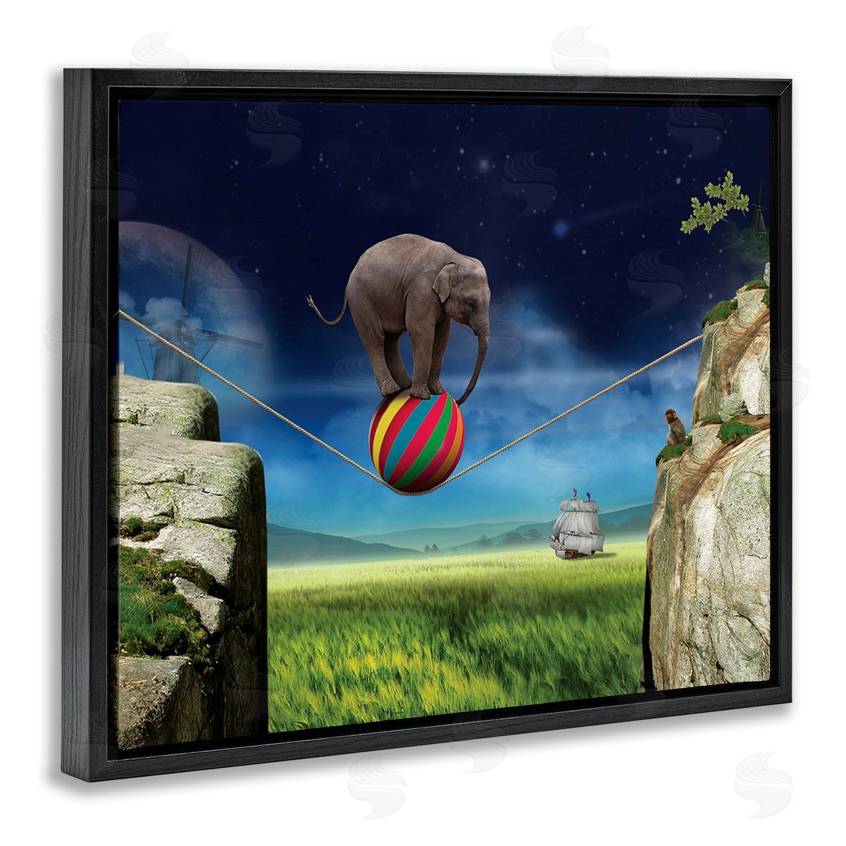 Nobleworks Elephant Balancing on Ball Black Floating Frame Canvas Wall Art Print