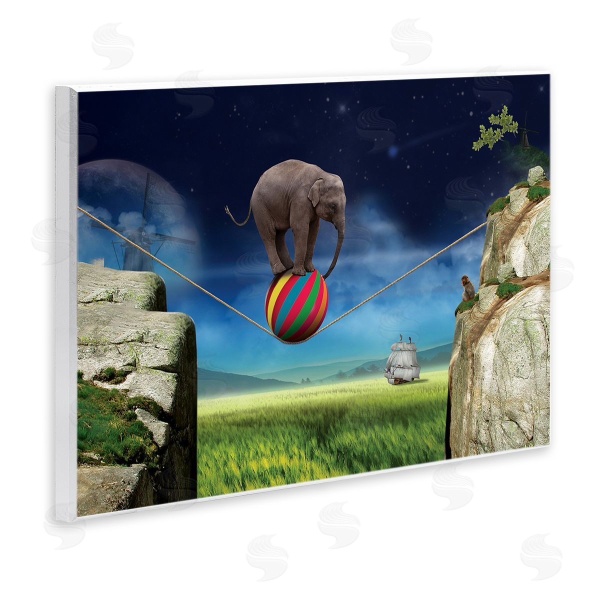 Nobleworks Elephant Balancing on Ball Wooden Wall Plaque Art Print