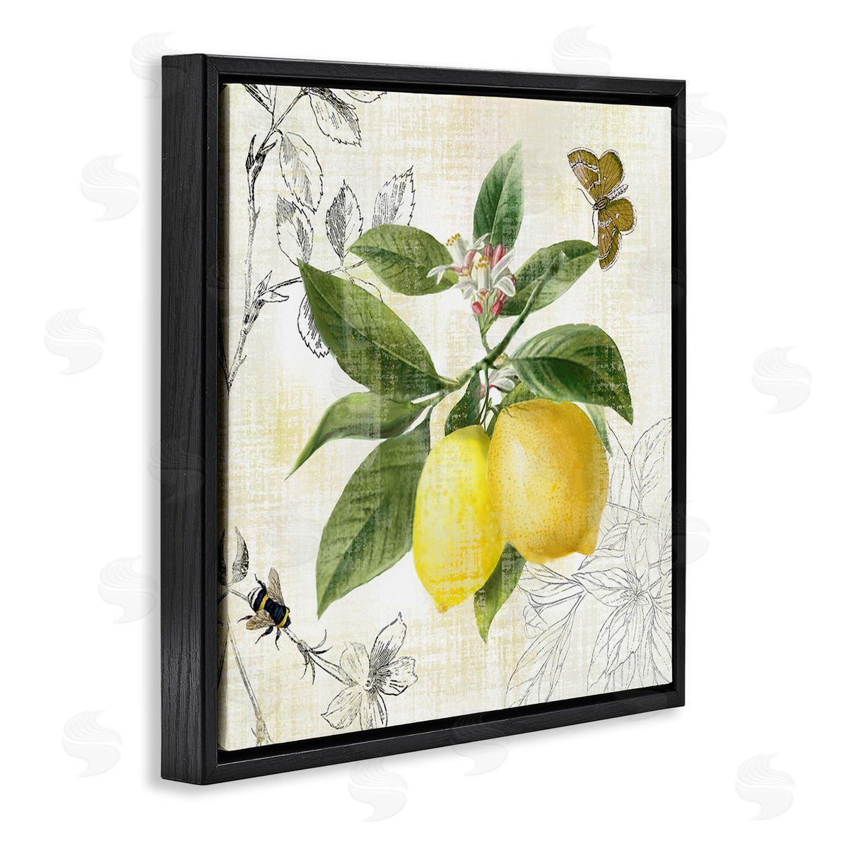 Nan Vintage Lemon Pattern Black Floating Frame Canvas Wall Art Print