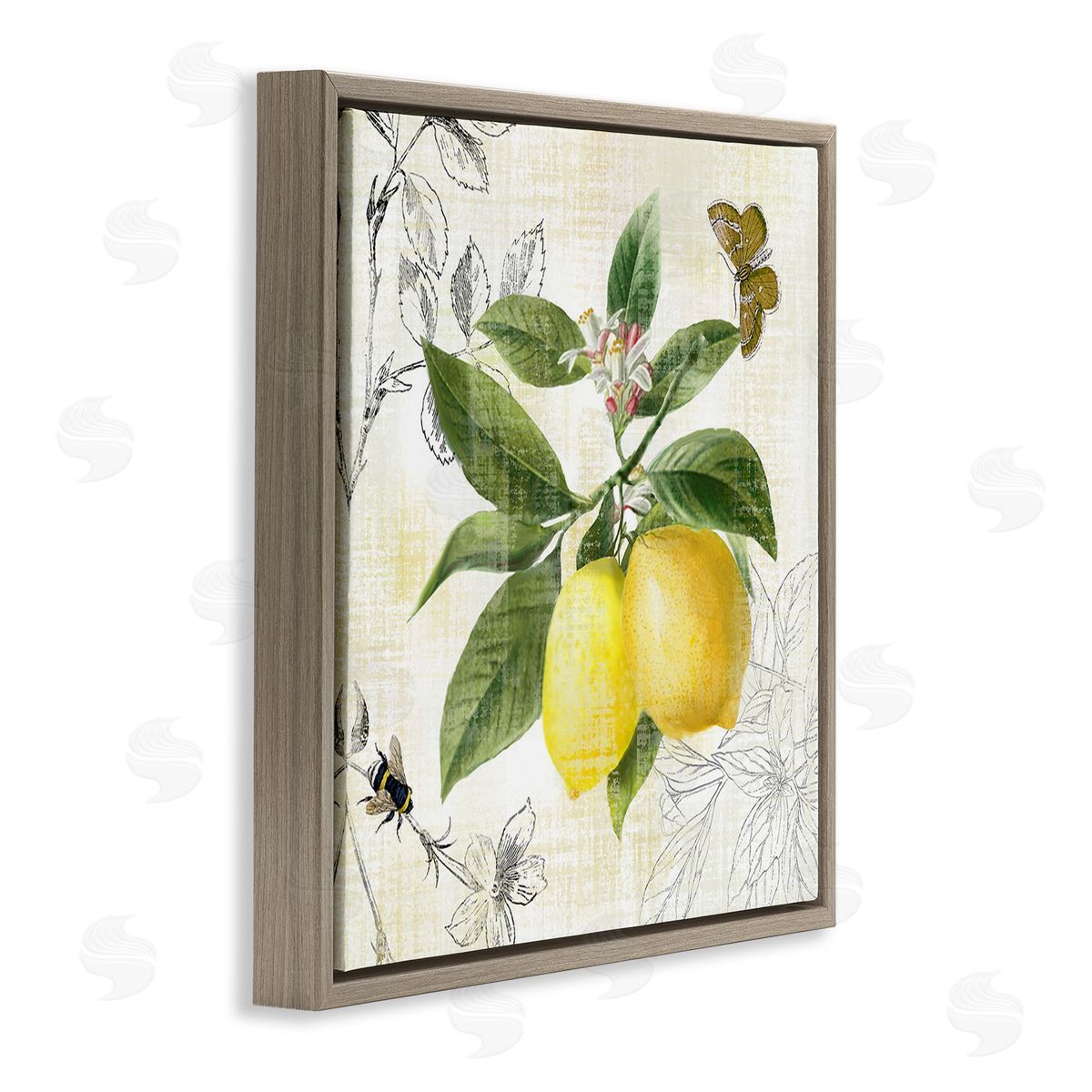 Nan Vintage Lemon Pattern Brown Floating Frame Canvas Wall Art Print