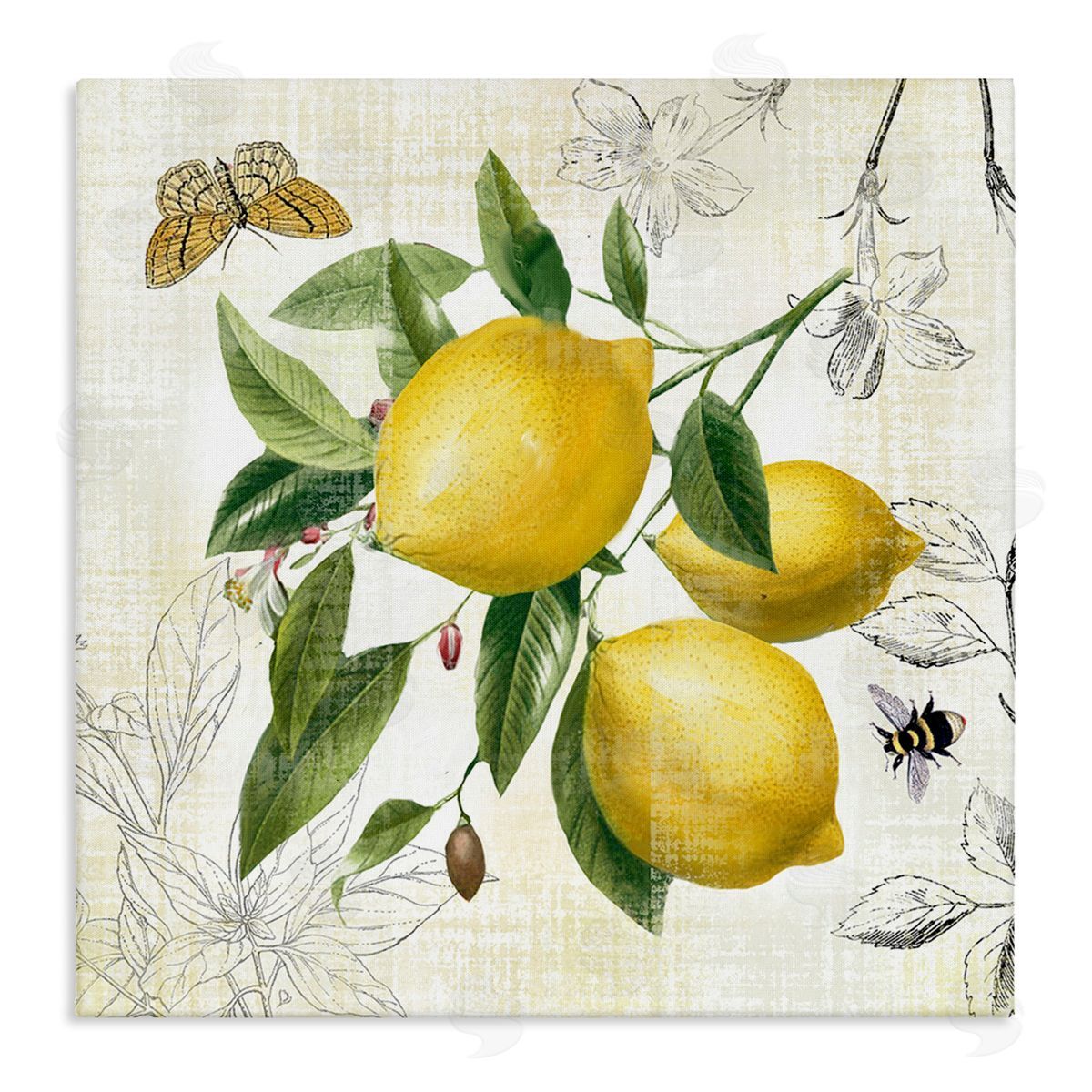 Nan Vintage Lemon Blossoms Canvas Wall Art Print