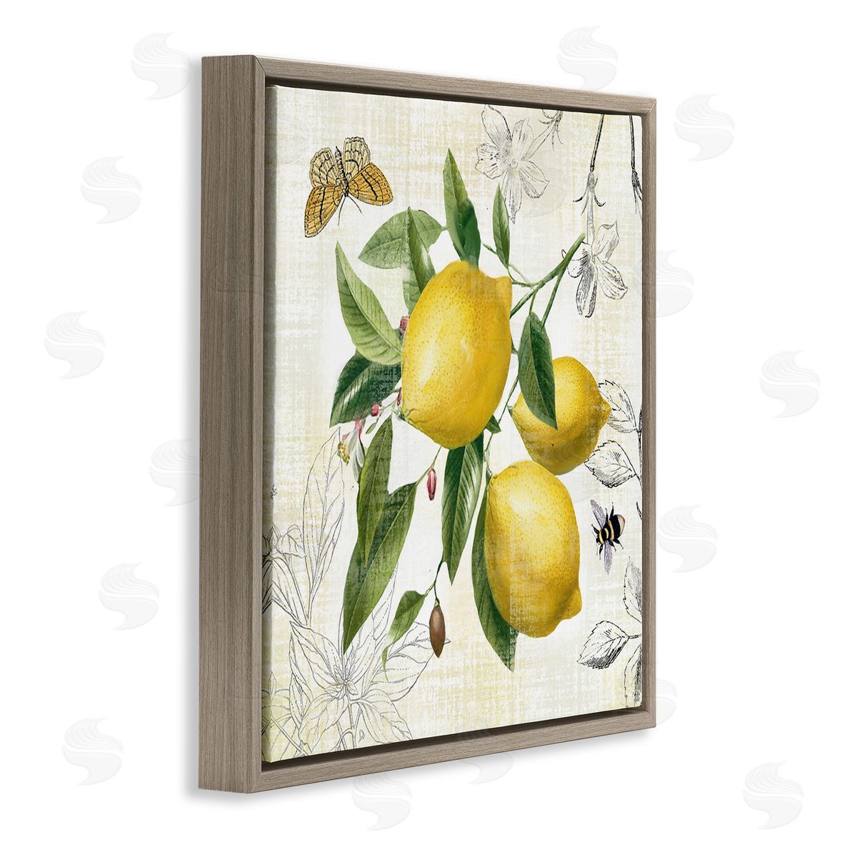 Nan Vintage Lemon Blossoms Brown Floating Frame Canvas Wall Art Print