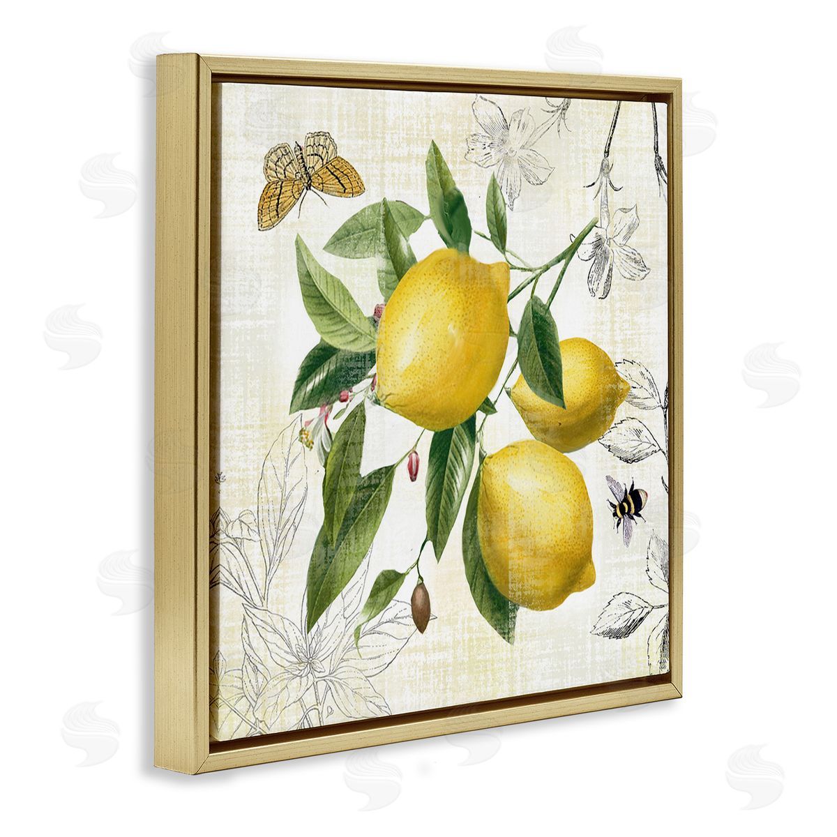 Nan Vintage Lemon Blossoms Gold Floating Frame Canvas Wall Art Print