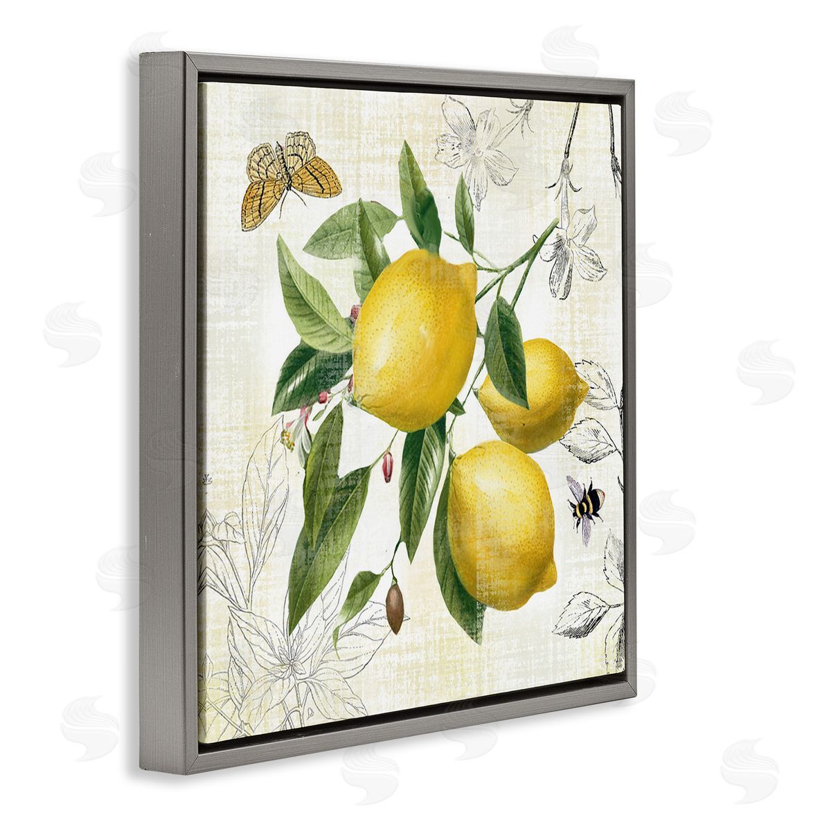 Nan Vintage Lemon Blossoms Gray Floating Frame Canvas Wall Art Print