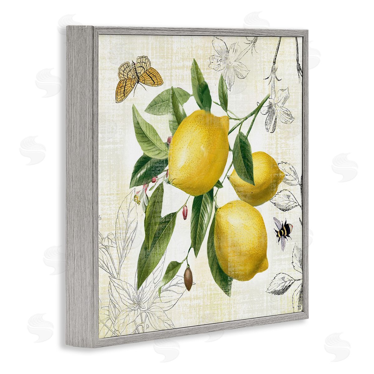 Nan Vintage Lemon Blossoms Gray Framed Giclee Wall Art Print