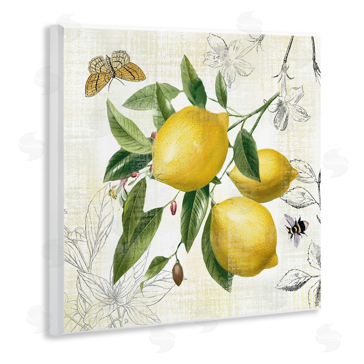 Nan Vintage Lemon Blossoms Wooden Wall Plaque Art Print