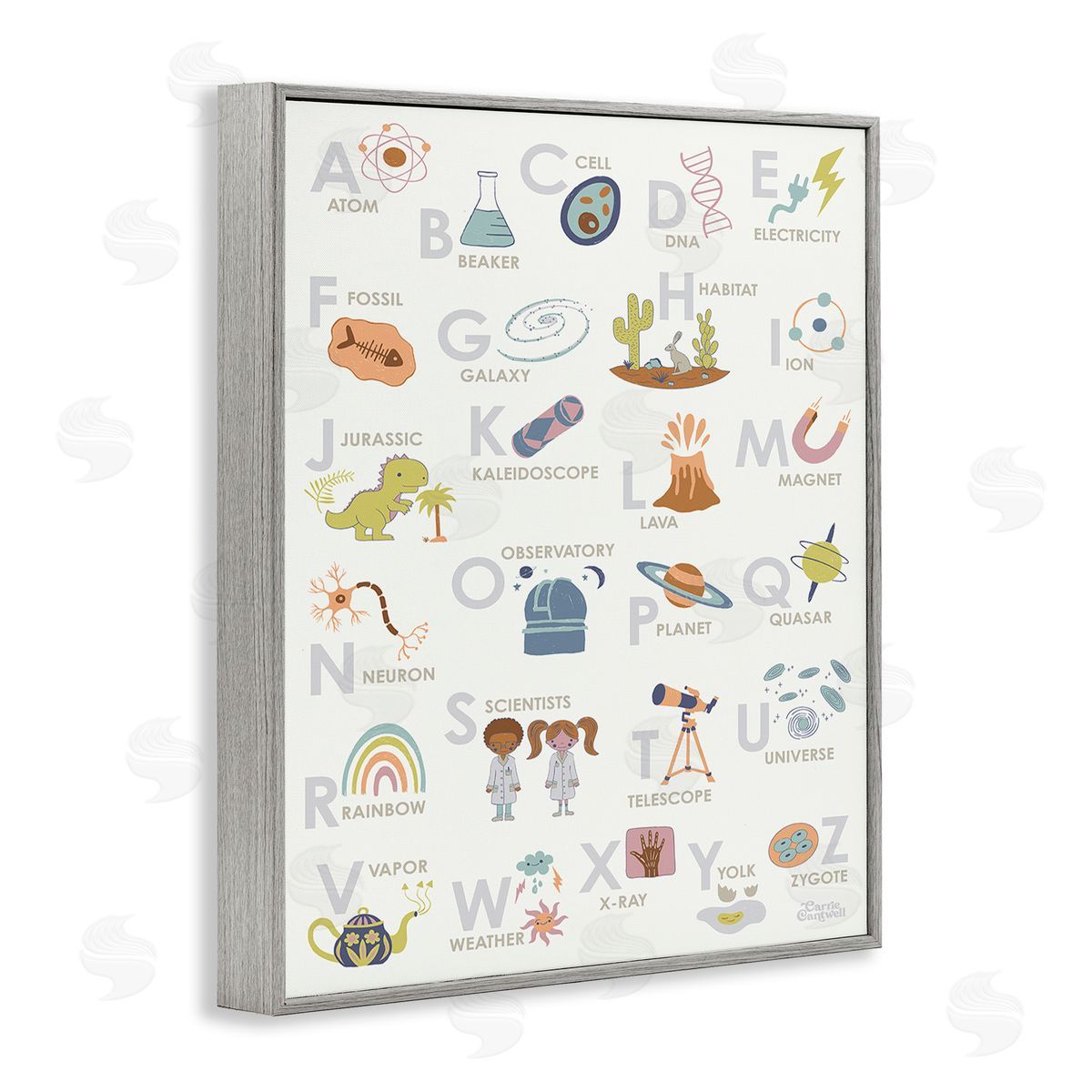 Carrie Cantwell Science Theme Alphabet Gray Framed Giclee Wall Art Print