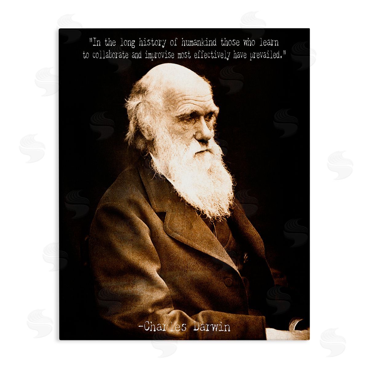 Graffitee Studios Inspiring Darwin Quote Canvas Wall Art Print