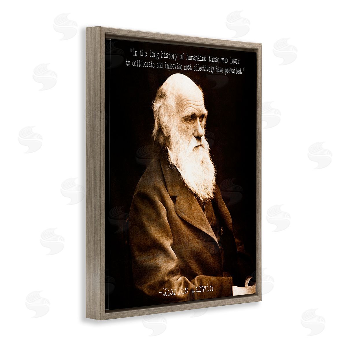 Graffitee Studios Inspiring Darwin Quote Brown Floating Frame Canvas Wall Art Print